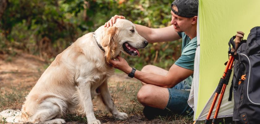 Zu sehen ist das Bild 1 des Beitrags mit dem Thema: Campingausrüstung für Hunde